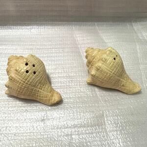 Small Whelk shell shaped ceramic salt & pepper shaker set.